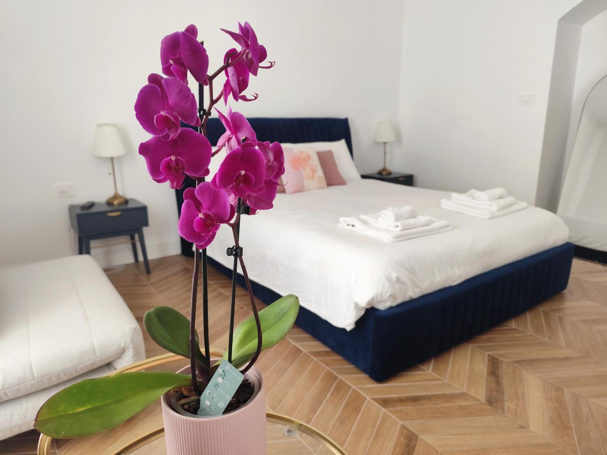 Vatican Eco Suite Рим Экстерьер фото